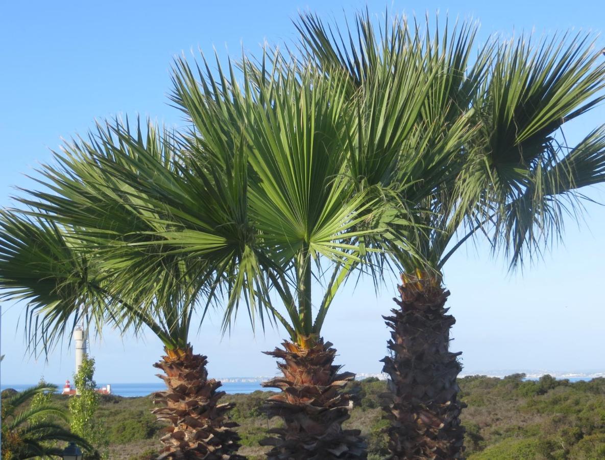 Three Palms Apartment Ferragudo  Esterno foto
